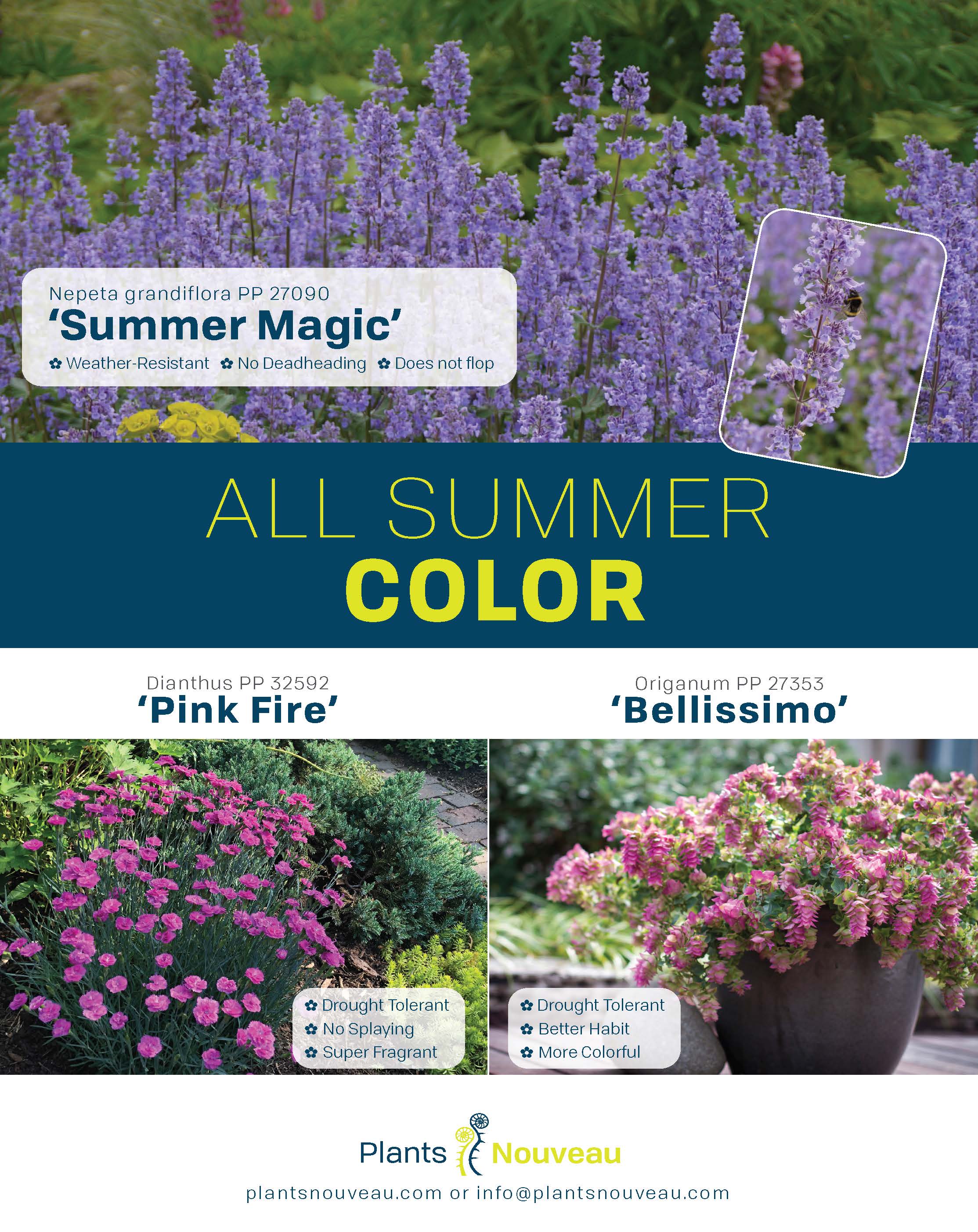 all-asummer-color-perennialsad_0321_page_3