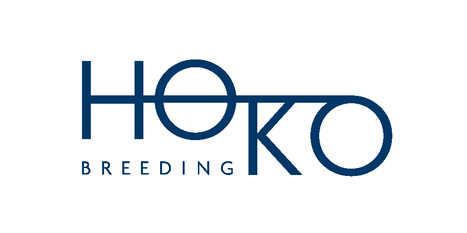 HOKO2201 Logo Hoko PMS2955 1